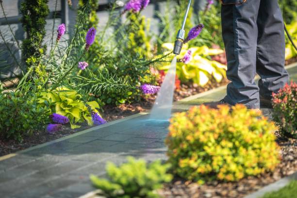 Best Parking Lot and Garage Cleaning  in Wahoo, NE